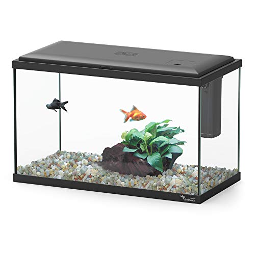 Aquatlantis Explorer Lisbon Aquarium schwarz, 1er Pack (1 x 3200 g) von Aquatlantis