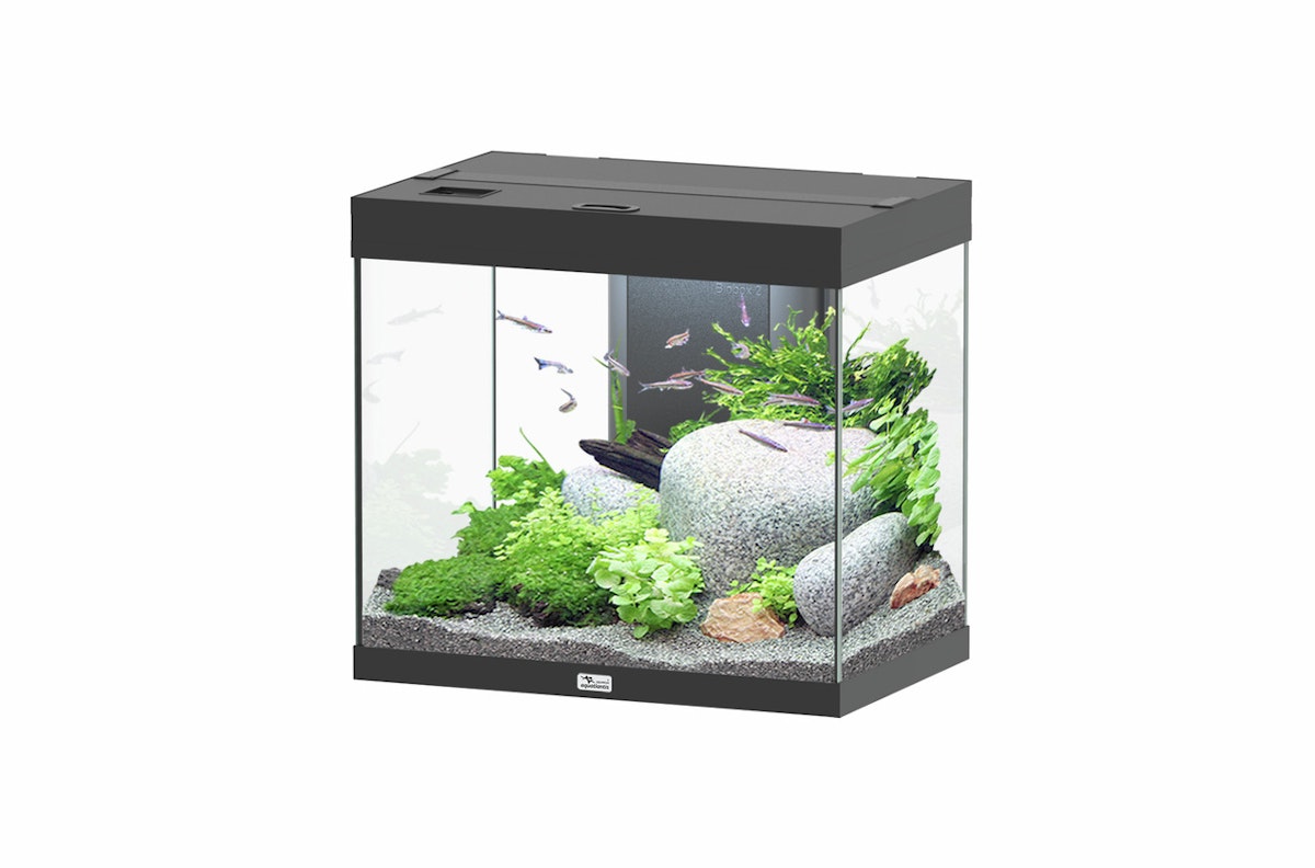 Aquatlantis Splendid 110 Aquarium-Set von Aquatlantis