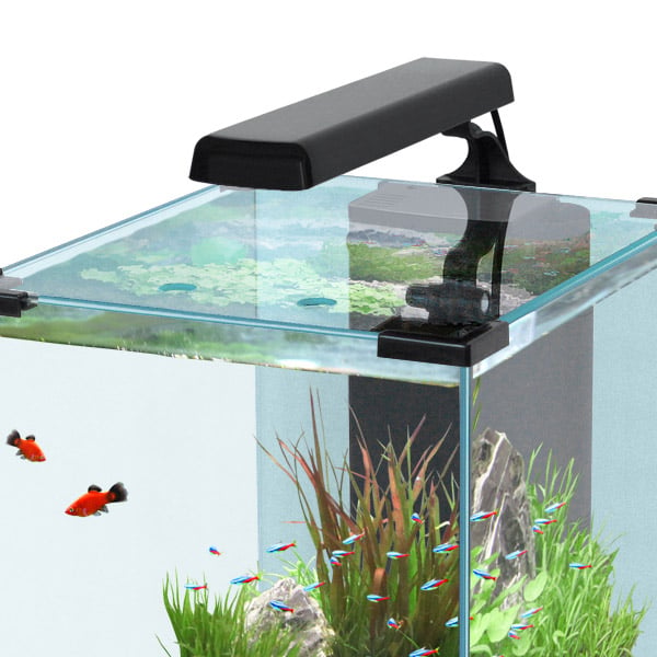 EasyLed für das Aquatlantis Nano Cubic schwarz von Aquatlantis