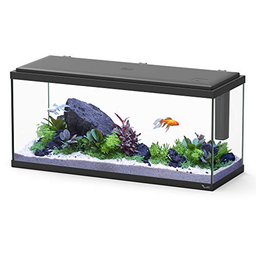für Negro Aquarium, Schwarz von Aquatlantis