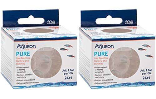 Aqueon 2 x reine lebende nützliche Bakterien und Enzyme für Aquarien, je 24 Stück, für Aquarien mit 10 Gallonen von Aqueon