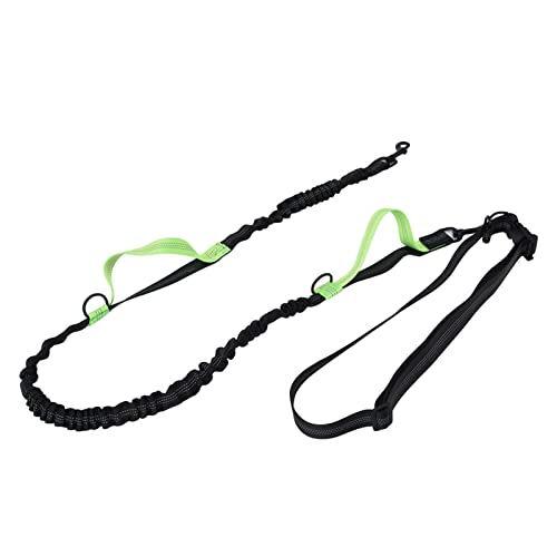 Machen Sie mit Versenkbaren Reflektierenden Hunden, Traktionseil von Einstellbaren und Tragbaren Haustieren, Glänzende Reflektierende Nähte für Nachtspaziergänge, Nylonmaterial, PET -Lieferungen 1PC Machen Sie mit Versenkbaren Reflektierenden Hunden, Traktionseil von Einstellbaren und Tragbaren Haustieren, Glänzende Reflektierende Nähte für Nachtspaziergänge, Nylonmaterial, PET -Lieferungen 1PC von Aramox