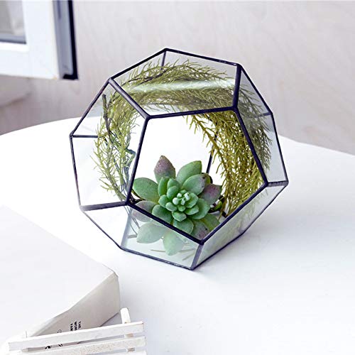 Stilvolle Geometrische Form Glas-Blumentopf Sukkulenten Pflanze Pflanzer Dekoration für Home-Office-Schreibtisch von Aramox