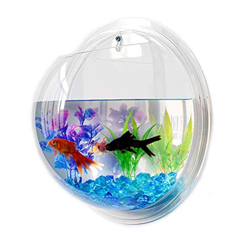 Wandhängendes Acryl-Fischglas, Dekorativer Behälter für die Heim- und Bürodekoration (Sortierte Farbe) von Aramox