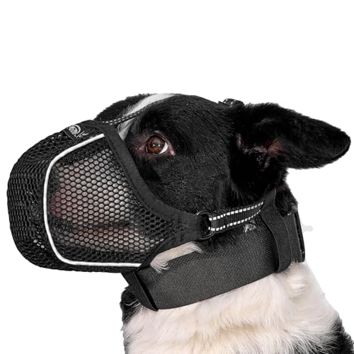 Arblina Hund Maulkorb, Weiches Netz Atmungsaktiv Maulkorb für Kleine, Mittlere, Große Hunde, Anti-Rutsch Verstellbar Maulkörbe mit DREI Riemen & Licht-Reflektierende Einfädeln, Schwarz, XS Arblina Hund Maulkorb, Weiches Netz Atmungsaktiv Maulkorb für Kleine, Mittlere, Große Hunde, Anti-Rutsch Verstellbar Maulkörbe mit DREI Riemen & Licht-Reflektierende Einfädeln, Schwarz, XS von Arblina