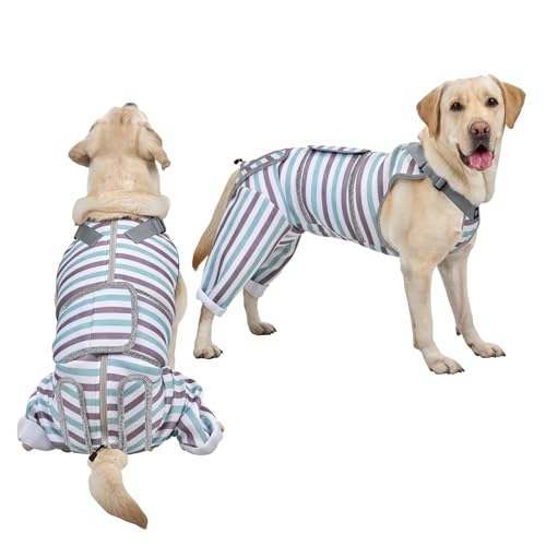 Arblina Hundebody Nach OP, Atmungsaktiv Hund Recovery-Anzug für Hinterbeine, OP Body Hund für Kleine/Mittlere/Große Hunde, Männlich/Weiblich Hunde Onesie Nach der Operation, Blau XXL Arblina Hundebody Nach OP, Atmungsaktiv Hund Recovery-Anzug für Hinterbeine, OP Body Hund für Kleine/Mittlere/Große Hunde, Männlich/Weiblich Hunde Onesie Nach der Operation, Blau XXL von Arblina