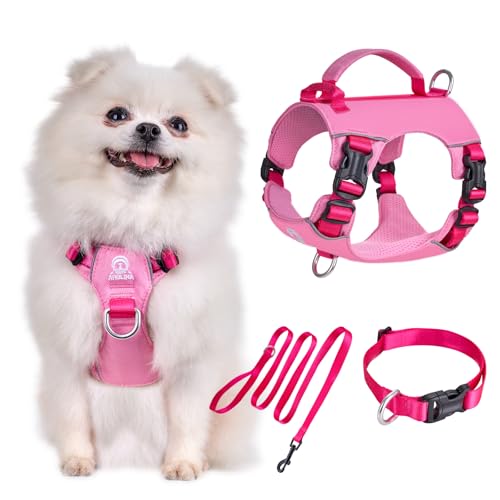 Arblina Hundegeschirr Kleine Hunde Set, Kaleido Leichtes Geschirr & Halsband & Leinenset für Kleine/Winzige/Mini-Hunde, Hundegeschirr mit Griff und Lichtreflektierendem Gurt von Arblina