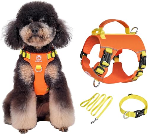Arblina Hundegeschirr Kleine Hunde Set, Kaleido Leichtes Geschirr & Halsband & Leinenset für Kleine/Winzige/Mini-Hunde, Hundegeschirr mit Griff und Lichtreflektierendem Gurt Arblina Hundegeschirr Kleine Hunde Set, Kaleido Leichtes Geschirr & Halsband & Leinenset für Kleine/Winzige/Mini-Hunde, Hundegeschirr mit Griff und Lichtreflektierendem Gurt von Arblina