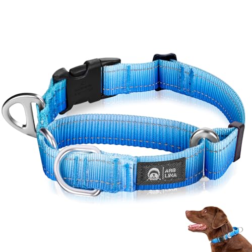 Arblina Martingale Hundehalsband, Reflektierendes Zugstopp Halsband Hunde für Große Mittlere und Kleine Hunde, Nylon Zughalsband mit Stopp für Hunde Whippets, Greyhounds, Saluki, Blau,M Arblina Martingale Hundehalsband, Reflektierendes Zugstopp Halsband Hunde für Große Mittlere und Kleine Hunde, Nylon Zughalsband mit Stopp für Hunde Whippets, Greyhounds, Saluki, Blau,M von Arblina