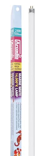 Ardacia FMW14K24T5 Marine Lampe, 24 watt, weiß von Ardacia