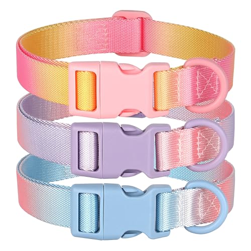 Arctideer Hundehalsband, zufällige Farbe, leicht, verstellbar, für kleine, mittelgroße und große Hunde, Schnellverschluss-Schnalle, Hundehalsband mit robustem D-Ring, Größe M, 3 Stück Arctideer Hundehalsband, zufällige Farbe, leicht, verstellbar, für kleine, mittelgroße und große Hunde, Schnellverschluss-Schnalle, Hundehalsband mit robustem D-Ring, Größe M, 3 Stück von Arctideer
