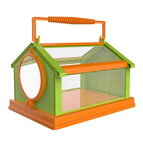 Ardorman Insektenbeobachtungsbox, Außenbeobachtungsinsektenfarbe DIY Tragbare Insektenbeobachtungsbox DIY-Insektenbeobachtungsgerät Für Kinder Ca. 150 Mm X 200 Mm X 135 Mm (Orange grün) von Ardorman