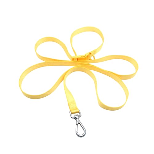 Arecobticy Hundehalsband, Hundeleine, Leine für Spaziergänge, Outdoor, Handlöse-Leine, Haustier-Trainingsleine, verstellbare Traktionsseil für Hunde Arecobticy Hundehalsband, Hundeleine, Leine für Spaziergänge, Outdoor, Handlöse-Leine, Haustier-Trainingsleine, verstellbare Traktionsseil für Hunde von Arecobticy
