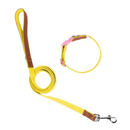 Arecobticy Hundehalsband, Hundeleine, Schlupfleine, Halsband, Seil, langes Haustier, starkes Training, Spazierengehen, Schwimmen, Wandern Arecobticy Hundehalsband, Hundeleine, Schlupfleine, Halsband, Seil, langes Haustier, starkes Training, Spazierengehen, Schwimmen, Wandern von Arecobticy
