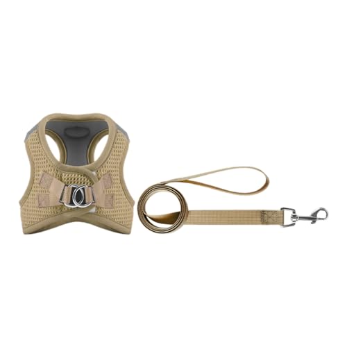 Arecobticy Hundehalsband, Hundeleine, reflektierendes Kabel, Schlupfgürtel, langes Haustier, starkes Training, Spazierengehen, Schwimmgürtel, weicher Griff Arecobticy Hundehalsband, Hundeleine, reflektierendes Kabel, Schlupfgürtel, langes Haustier, starkes Training, Spazierengehen, Schwimmgürtel, weicher Griff von Arecobticy