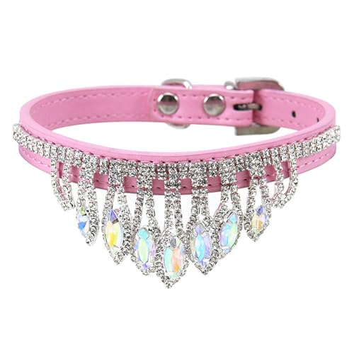 Arecobticy Hundehalsband, Hundeleinenkabel, Hundehalsband für Party, Fransen, Strasssteine, Haustierhalsband für kleine, mittelgroße Halsbänder, Halskette, Haustierschmuck Arecobticy Hundehalsband, Hundeleinenkabel, Hundehalsband für Party, Fransen, Strasssteine, Haustierhalsband für kleine, mittelgroße Halsbänder, Halskette, Haustierschmuck von Arecobticy