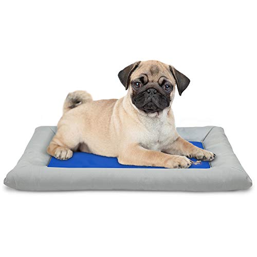 Arf Pets Selbstkühlendes Hundebett, Haustierbett, solide Gelbasis, selbstkühlende Matte für Haustiere, enthält eine Schaumstoff-basierte Nackenrolle für zusätzlichen Komfort Arf Pets Selbstkühlendes Hundebett, Haustierbett, solide Gelbasis, selbstkühlende Matte für Haustiere, enthält eine Schaumstoff-basierte Nackenrolle für zusätzlichen Komfort von Arf Pets