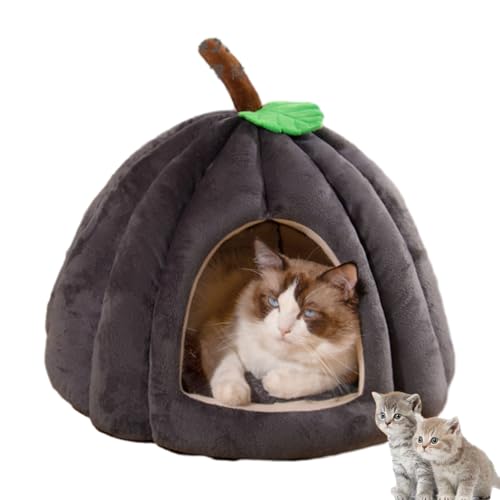 Kürbis-Katzenbett, süßes Halloween-Katzenzelt mit abnehmbarem Kissen, geeignet für Kätzchen und kleine Hunde (Dunkelgrau, M) von Argumub