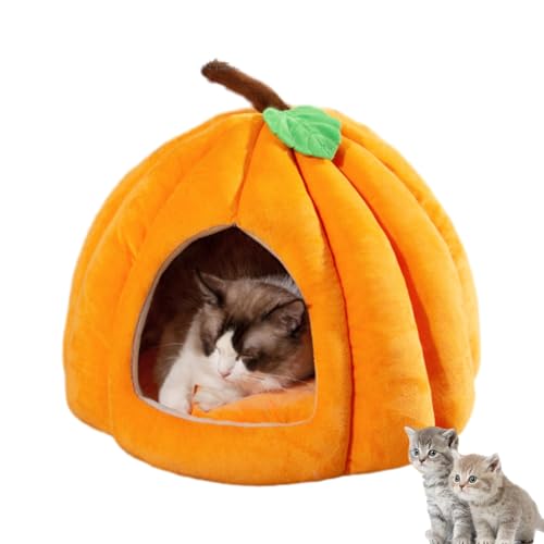 Kürbis-Katzenbett, süßes Halloween-Katzenzelt mit abnehmbarem Kissen, geeignet für Kätzchen und kleine Hunde (Orange, M) von Argumub