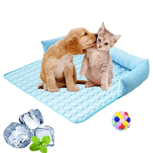 Pelzbarn Kühlendes Sofabett, Vier Jahreszeiten Universal Ice Silk Hundebett Kühlend, Maschinenwaschbar Summer Comfort Antirutschmatte Für Haustiere Für Kleine & Mittelgroße Hund (Blau, 90*90cm) Pelzbarn Kühlendes Sofabett, Vier Jahreszeiten Universal Ice Silk Hundebett Kühlend, Maschinenwaschbar Summer Comfort Antirutschmatte Für Haustiere Für Kleine & Mittelgroße Hund (Blau, 90*90cm) von Argumub