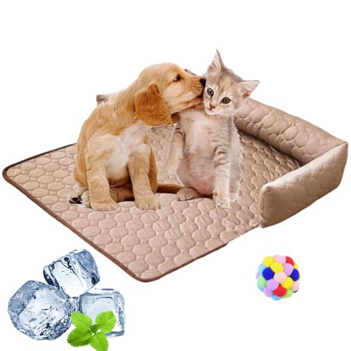 Pelzbarn Kühlendes Sofabett, Vier Jahreszeiten Universal Ice Silk Hundebett Kühlend, Maschinenwaschbar Summer Comfort Antirutschmatte Für Haustiere Für Kleine & Mittelgroße Hund (Kaffeebraun, 90*90cm) Pelzbarn Kühlendes Sofabett, Vier Jahreszeiten Universal Ice Silk Hundebett Kühlend, Maschinenwaschbar Summer Comfort Antirutschmatte Für Haustiere Für Kleine & Mittelgroße Hund (Kaffeebraun, 90*90cm) von Argumub