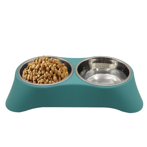 Arightmu 2-in-1 Futternapf aus Edelstahl | Rutschfester geneigter Katzen-Hundenapf mit Anti-Rutsch-Pad | Doppelnapf für Kätzchen, Welpen, Kaninchen, Kleintiere (Dunkelgrün, Groß) von Arightmu