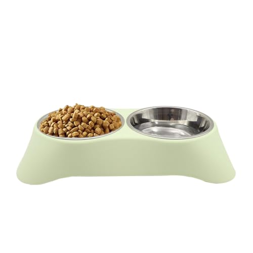 Arightmu 2-in-1 Futternapf aus Edelstahl | Rutschfester geneigter Katzen-Hundenapf mit Anti-Rutsch-Pad | Doppelnapf für Kätzchen, Welpen, Kaninchen & Kleintiere (Grün, Medium) von Arightmu