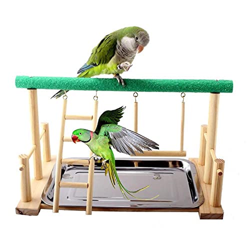 ArinkO Bunter Papageienleiter-Schaukelständer – ansprechender Sitzstangen-Spielplatz für Haustier-Nymphensittiche – langlebiges Laufstallspielzeug aus Holz für Vögel von ArinkO