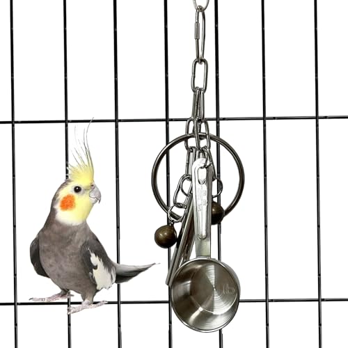 ArinkO Edelstahl-Hängeglocken-Ornamente: Kleines Vogelspielzeug mit süßem Klang für Wellensittiche, Sittiche, Nymphensittiche, Turteltauben, Finken, Pochy von ArinkO