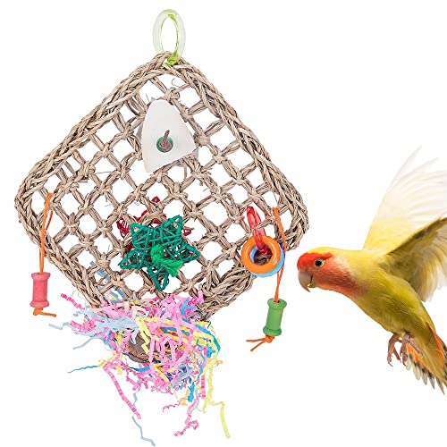 ArinkO Naturseil-Vogel-Kletternetz-Spielzeug mit Tintenfisch für Papageien, Nymphensittiche und Wellensittiche – Kauen, Training, Hängemattenschaukel (Silber) von ArinkO