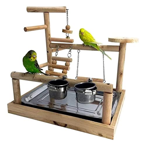 ArinkO Papageien-Spielständer aus Holz: EIN farbenfroher Nymphensittich-Spielplatz mit Schaukel, Leiter, Getränkehalter und Hängebrücke von ArinkO