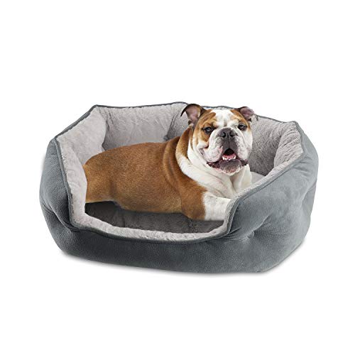 Arlee Cozy Orthopädisches Hundebett aus Memory-Schaum, hochwertig, langlebig, waschbar und leicht zu reinigen, Haustierbett für kleine und mittelgroße Haustiere, ultimativer Komfort und Stil, oval von Arlee Home Fashions