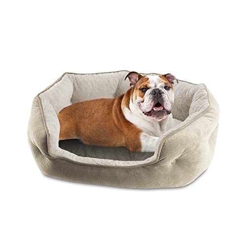 Arlee Cozy Orthopädisches Hundebett aus Memory-Schaum, hochwertig, langlebig, waschbar und leicht zu reinigen, Haustierbett für kleine und mittelgroße Haustiere, ultimativer Komfort und Stil, oval von Arlee Home Fashions