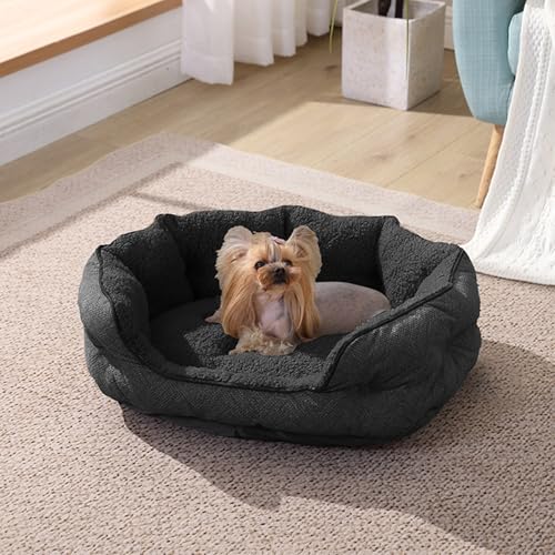 Arlee Cozy Orthopädisches Hundebett aus Memory-Schaum, hochwertig, langlebig, waschbar und leicht zu reinigen, kaufestes Haustierbett für kleine und mittelgroße Haustiere, ultimativer Komfort und von Arlee Home Fashions