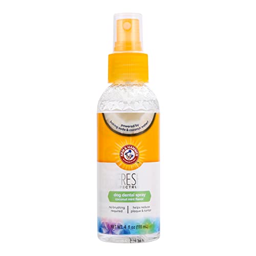 ARM & HAMMER Kokosnuss- und Minze-Zahnpflegespray für Hunde - Reduziert Zahnbelag und Zahnstein, Erfrischt den Atem, Zahnfleisch- und Zahnreinigung. Dentalspray für Hunde und Welpen (118 ml) von Company of Animals