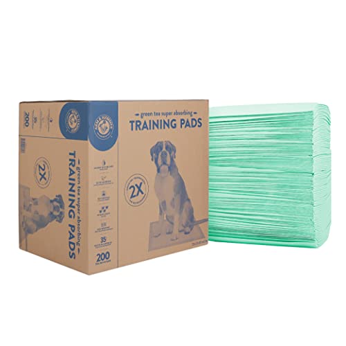 Arm & Hammer Green Tea Haustier-Trainingspads | 200 ct Hundetrainingspads mit super saugfähigem grünem Tee-Backpulver für 2 x Geruchskontrolle | auslaufsichere und recycelte Trainingspads für Hunde von Arm & Hammer