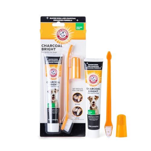 Arm & Hammer Zahnarzt-Set für Hunde, Anthrazit Arm & Hammer Zahnarzt-Set für Hunde, Anthrazit von Arm & Hammer