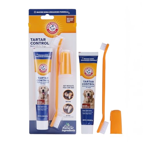 Arm & Hammer Zahnpflegeset für Hunde mit Fleischgeschmack von Arm & Hammer