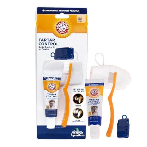 Arm & Hammer for Pets Zahnstein-Kontroll-Set für Welpen, Hundezahnbürste, Zahnpasta und Fingerbürste, Gesamt-Set für ideale Zahngesundheit von Welpen, leckerer Vanille-Ingwer-Geschmack Arm & Hammer for Pets Zahnstein-Kontroll-Set für Welpen, Hundezahnbürste, Zahnpasta und Fingerbürste, Gesamt-Set für ideale Zahngesundheit von Welpen, leckerer Vanille-Ingwer-Geschmack von Arm & Hammer