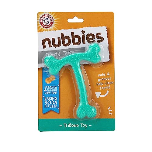 Arm & Hammer: Nubbies TriBone Kauspielzeug für Hunde, Erdnussbutter, Türkis von Arm & Hammer