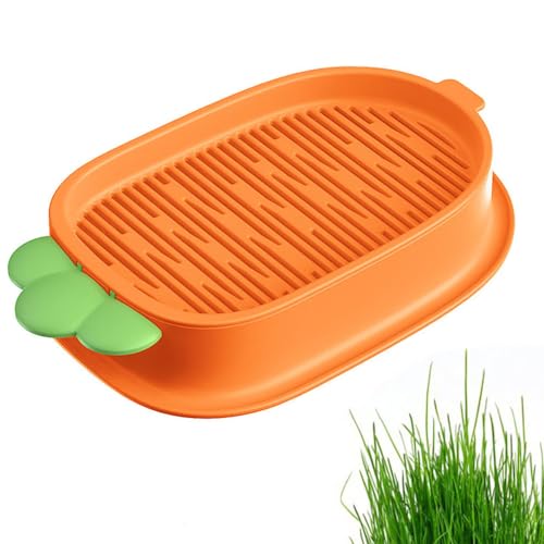 Armastuse Set mit 1 Hydrokultur-Katzengras-Behälter, bequem für Katzen und Haustiere, Katzengras-Kit, Katzenminzüchtungs-Set Armastuse Set mit 1 Hydrokultur-Katzengras-Behälter, bequem für Katzen und Haustiere, Katzengras-Kit, Katzenminzüchtungs-Set von Armastuse