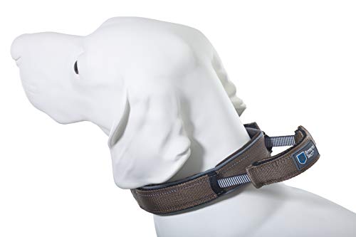 Armored Tech Dog Control Halsband mit integrierter Kurzleine (XL - Halsumfang 51-60 cm, Mocca) von Jlwiy