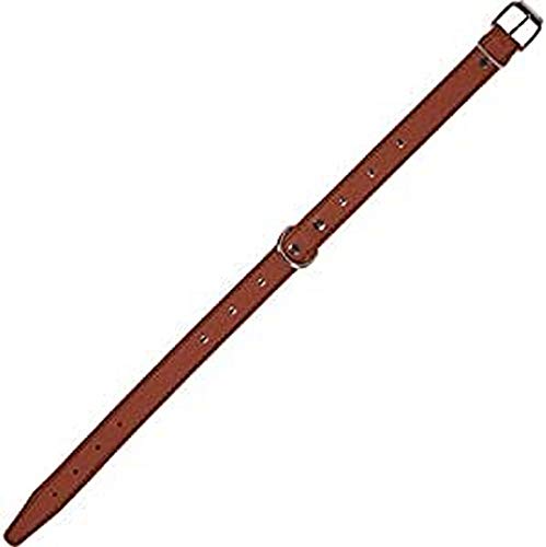 ARPP. von Arppe