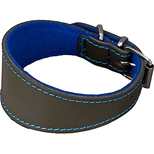 Arppe 195466050157 Greyhound Halskette oder Leder Filz Orinoco, blau und dunkelgrün von Arppe