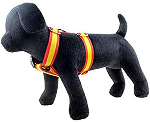 Arppe 196132520561 - Harns für Hunde Nylon Flagge, rot/gelb von Arppe