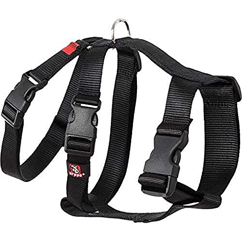 Arppen 196222530009 Harness Nylon grundlegende dreifache Greyhounds und Punnuts, Schwarze Farbe Arppen 196222530009 Harness Nylon grundlegende dreifache Greyhounds und Punnuts, Schwarze Farbe von Arppe