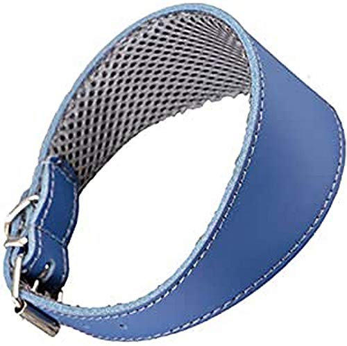 Arppe Galgo Halskette Lederfutter 45 blau 1 Stück 500 Gramm von Arppe