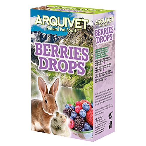 ARQUIVET Beeren Drops Waldfrüchte, 65 g, Snacks für Nagetiere, Leckereien, Belohnungen, Leckereien, Leckereien, Leckereien für Kaninchen, Hamster, Meerschweinchen, Frettchen von Arquivet