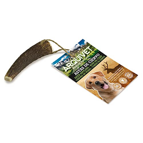 ARQUIVET Hirschgeweih - Bio Beißring Hunde - Hirschhorn für Hunde - Natürlicher Kauer Hunde - Natürlicher Fallender Hirschgeweih - -S (15-39g) von Arquivet