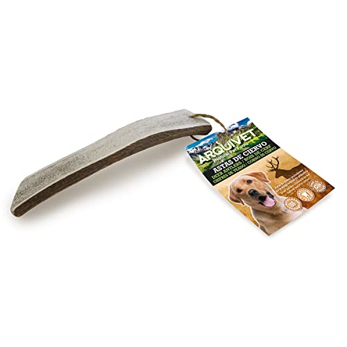 ARQUIVET Hirschgeweih für Hunde, 100% natürlich, Beißring für Hunde, hypoallergen, Hirschgeweih, Beißspielzeug für Hunde, M (51-80 g) von Arquivet